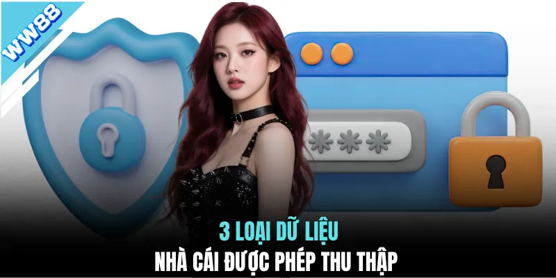 3 loại dữ liệu nhà cái được phép thu thập