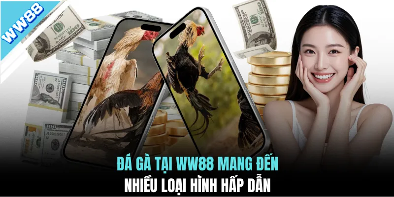 Đá gà tại WW88 mang đến nhiều loại hình hấp dẫn