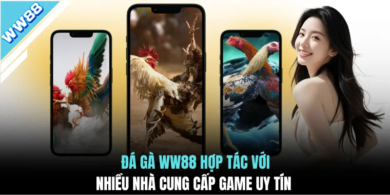 Đá gà WW88 hợp tác với nhiều nhà cung cấp game uy tín